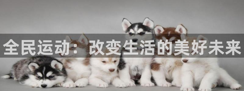 MK体育官方正版app神州：全民运动：改变生活的美好