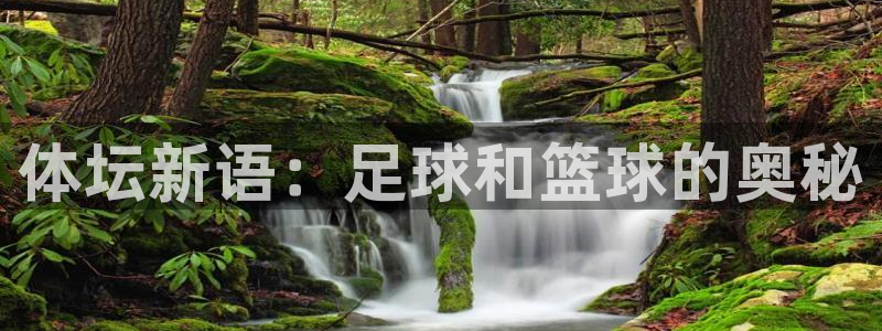 MK体育官网下载联系电话：体坛新语：足球和篮球的奥秘
