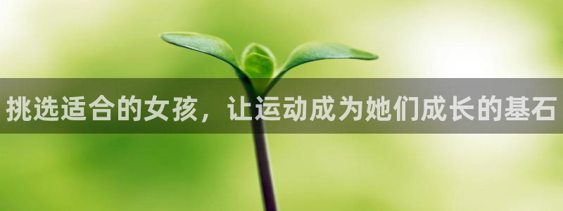 海南MK体育官网下载