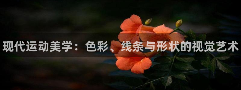 MK体育官方正版app五金厂：现代运动美学：色彩、线