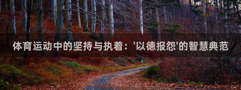 MK体育官网下载招商电话号码：体育运动中的坚持与执着