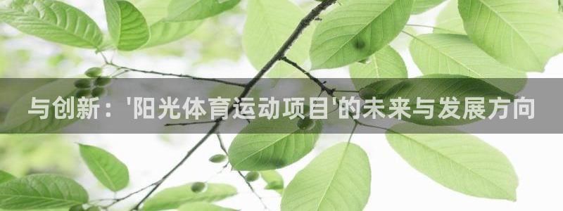 MK体育官方正版app集团logo：与创新：\'阳光