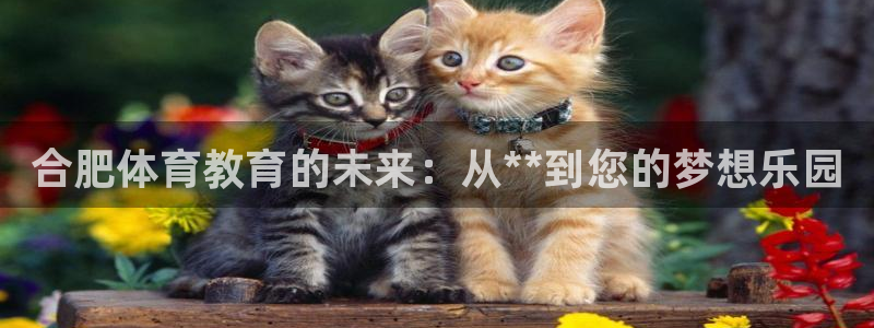 MK体育官网下载注册：合肥体育教育的未来：从**到您