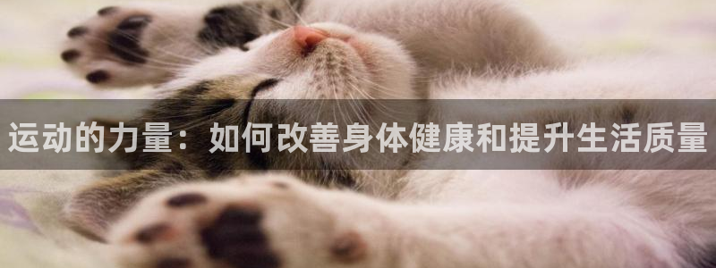 MK体育官方正版app集团官网首页：运动的力量：如何