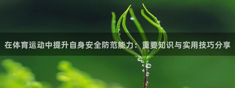 MK体育官方正版app神州：在体育运动中提升自身安全