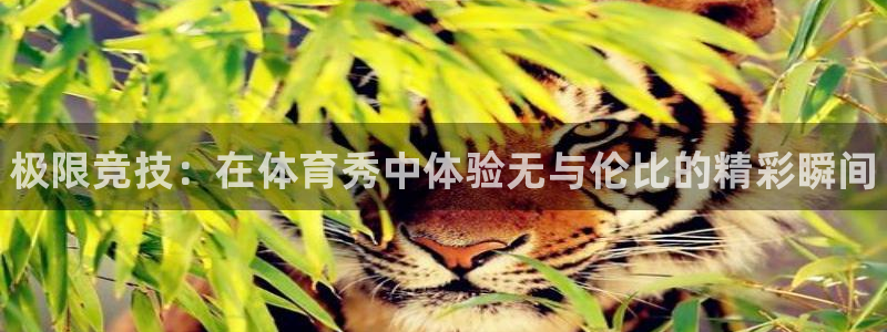 MK体育官网下载招商电话地址：极限竞技：在体育秀中体
