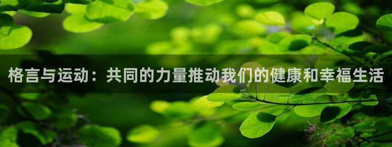 MK体育官网下载平台是正规平台吗：格言与运动：共同的