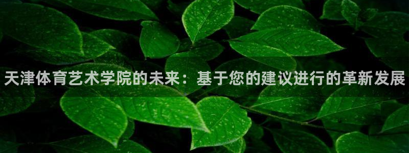 海南MK体育官网下载发展怎么样：天津体育艺术学院的未