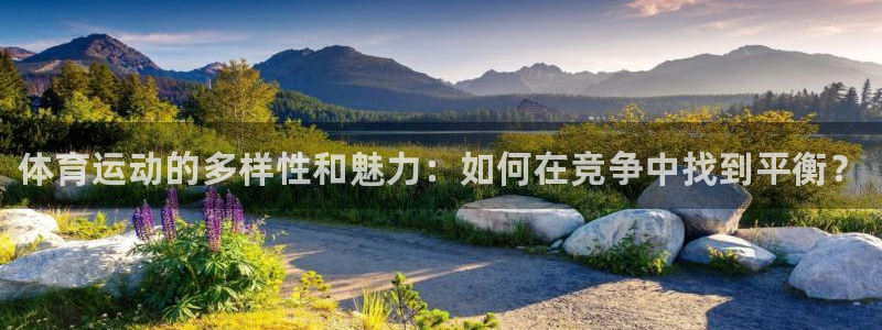 MK体育官网下载平台是正规平台吗：体育运动的多样性和魅力：如
