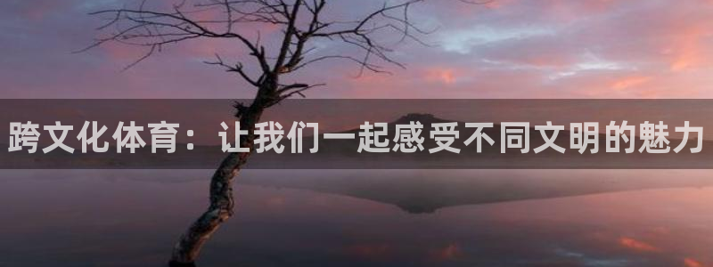海南MK体育官网下载：跨文化体育：让我们一起感受不同