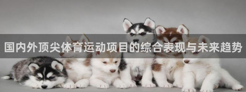 MK体育官网下载平台注册要钱吗：国内外顶尖体育运动项目的综合