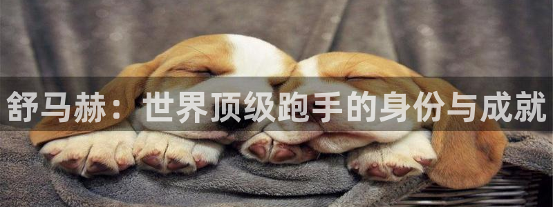 MK体育官方正版app集团官网首页网址：舒马赫：世界顶级跑手