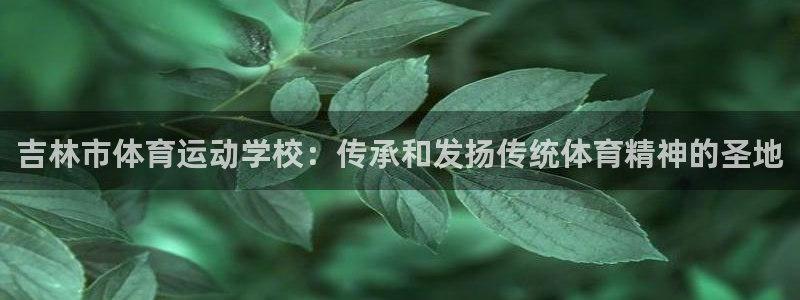 MK体育官方正版app娱乐下载：吉林市体育运动学校：