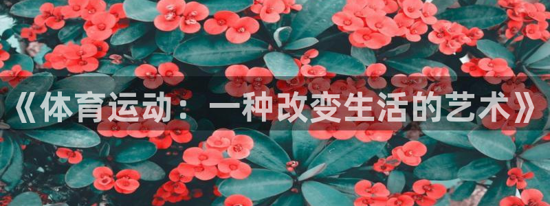 海南MK体育官网下载发展怎么样：《体育运动：一种改变生活的艺