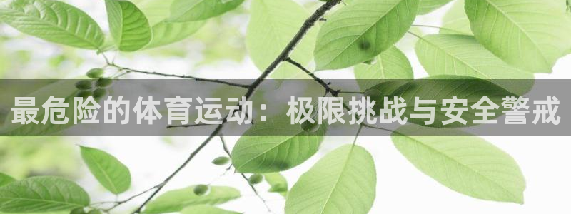MK体育官方正版app娱乐网站：最危险的体育运动：极