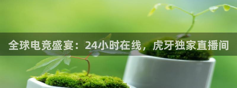 河豚体育在线直播：全球电竞盛宴：24小时在线，虎牙独家直播间