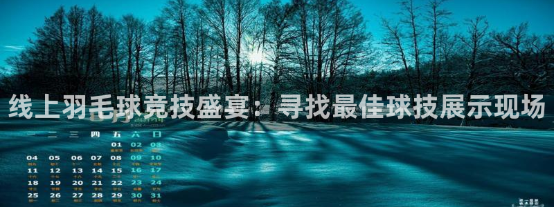 河豚直播体育直播：线上羽毛球竞技盛宴：寻找最佳球技展示现场