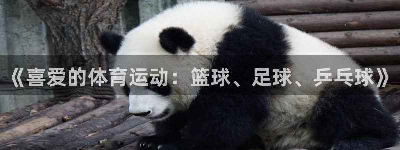 mk体育恩波利：《喜爱的体育运动：篮