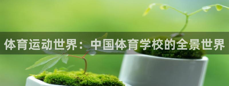 mk体育提现多久到账啊：体育运动世界