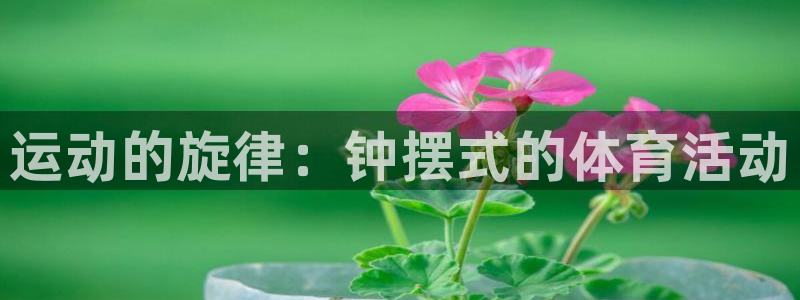 mk体育在线官网入口：运动的旋律：钟