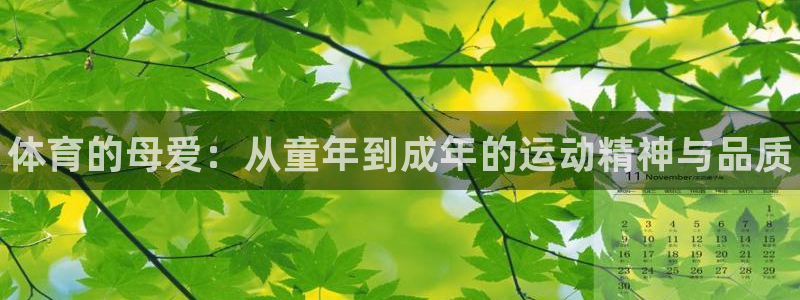 MK体育官方正版app娱乐