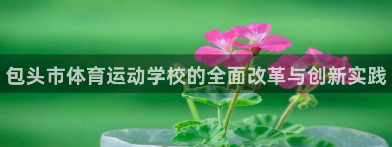 MK体育官方正版app科技：包头市体育运动学校的全面改革与创