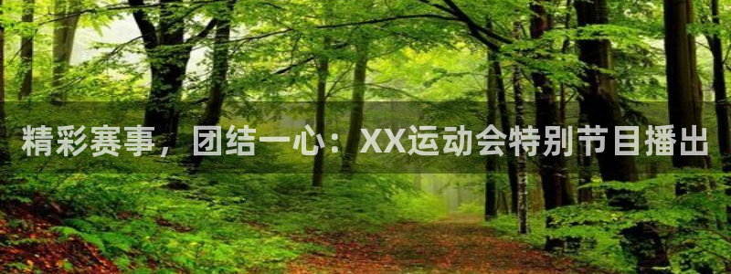 MK体育官方正版app神州：精彩赛事，团结一心：XX运动会特