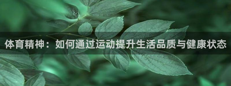 MK体育官网下载招商电话地址：体育精神：如何通过运动提升生活