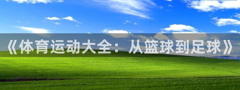 MK体育官方正版app五金厂
