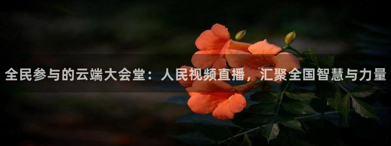 河豚体育足球直播：全民参与的云端大会堂：人民视频直播，汇聚全国智慧与力量
